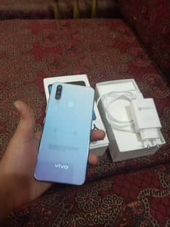 vivo