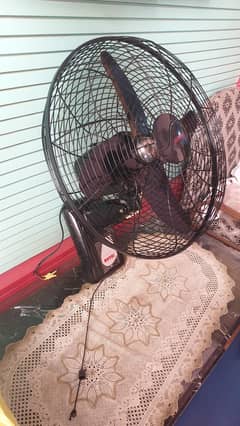 Royal Bracket fan