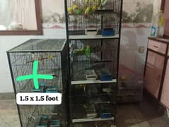 Iron cage for parrots
