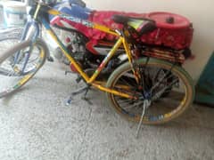 phonix cycle for sale