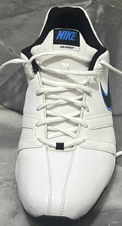 Nike Air Zoom Prestige