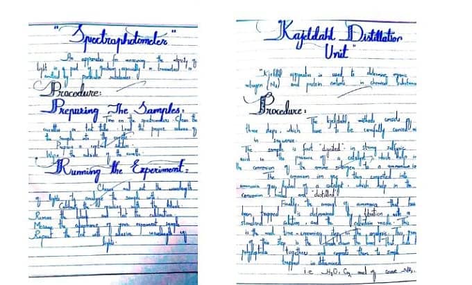 Assignment work, content writing 19