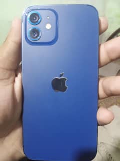 iPhone12