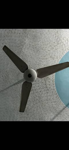 chilling fan