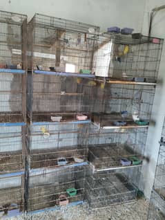 cage for sale