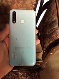 VIVO