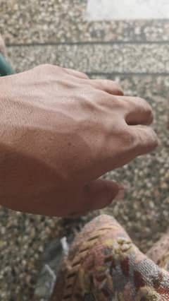job chyia