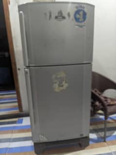 Haier company