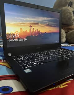 Acer-