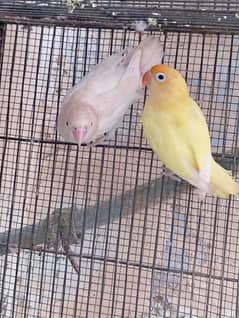 Eno