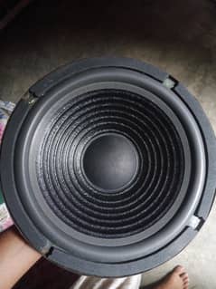 10 inch speaker