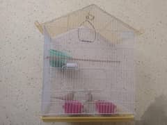 love birds with cage