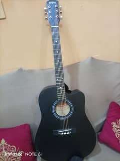 acoustic guitar