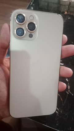 12 Pro Max 256GB