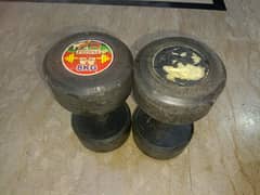 8 kg dumbbells