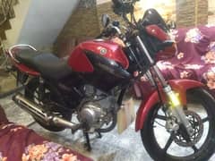 Yamaha YBR-125 | Model 2021 | Special Edition | Total Genuine