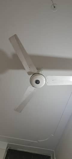 Ceiling