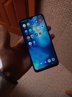 vivo