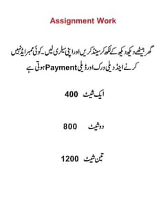 Hand Writing Assignment Work Available