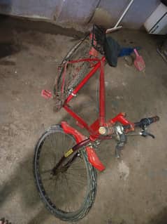 cycle