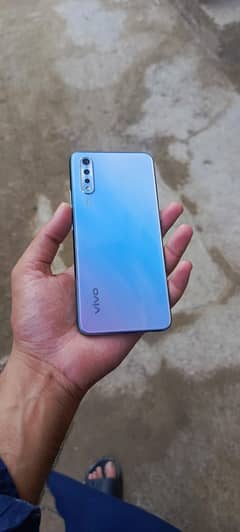 vivo