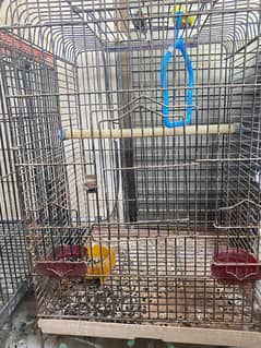 Cage