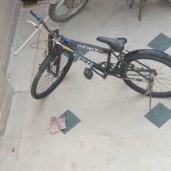 road cycle