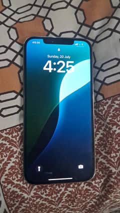 12 pro max