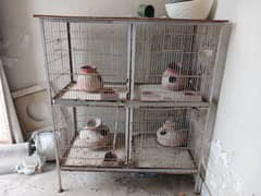 Bird cage