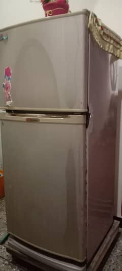 medium size Fridge for sale