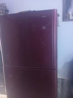 Orient Fridge