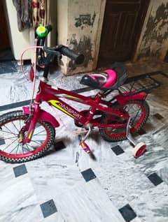 Bicycle