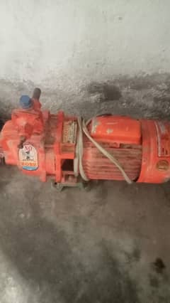 injector pump