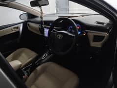 corolla