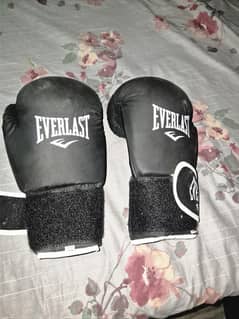 Everlast boxing bag 5feet + everlast boxing gloves