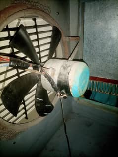 cooler Motors