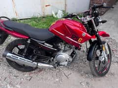 Yamaha ybr 125 g