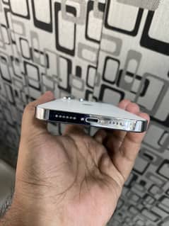 13pro