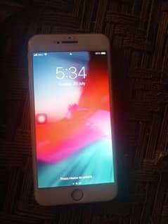 iPhone 6 plus