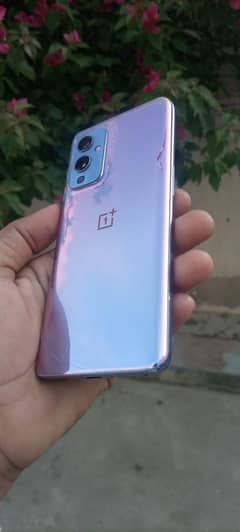 one plus 9 12 256
