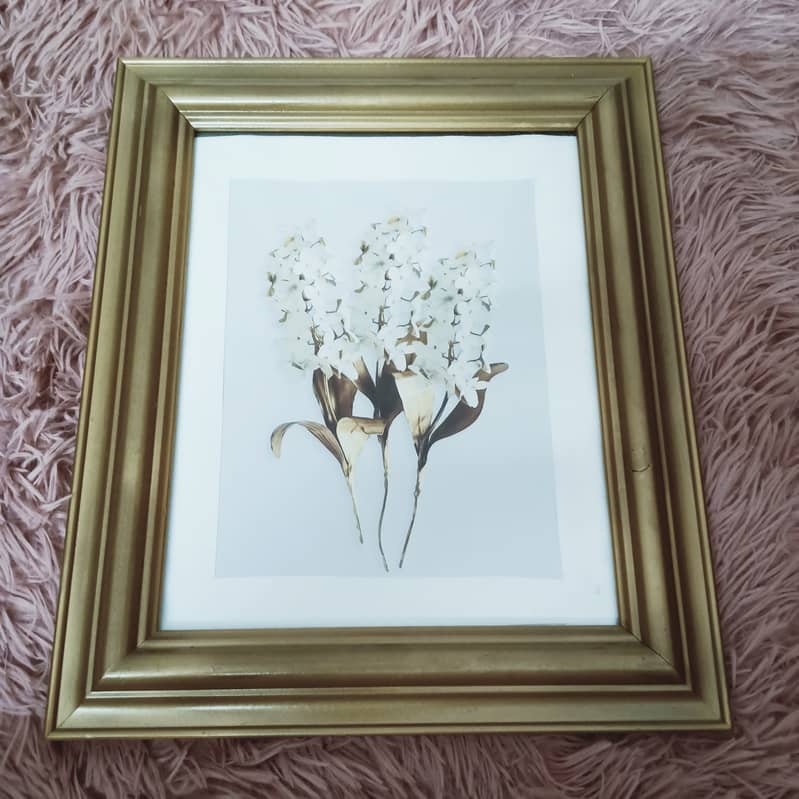 Set of Used Wall Frames –  Sizes Approx. 13", 12", 11 -Rs 1000 each 0