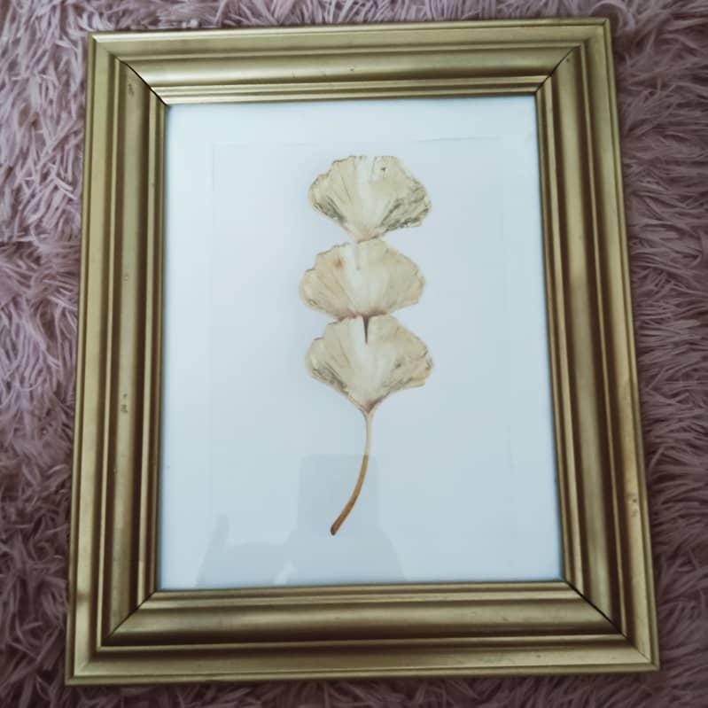 Set of Used Wall Frames –  Sizes Approx. 13", 12", 11 -Rs 1000 each 2