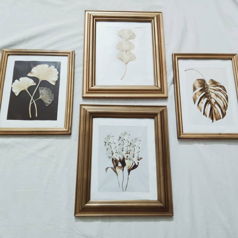 Set of Used Wall Frames –  Sizes Approx. 13", 12", 11 -Rs 1000 each 5