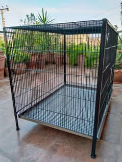Birds cage