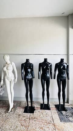 Shop Display Setup Full Package