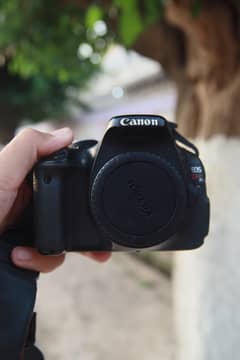 Canon