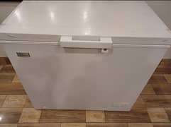 signature deep freezer scf-hm11 coldstore
