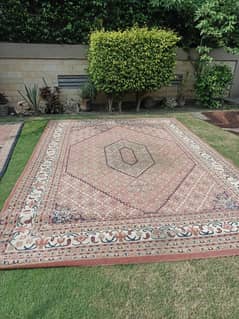 carpet