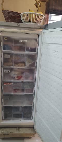 GNE Upright freezer