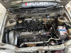 Suzuki cultus